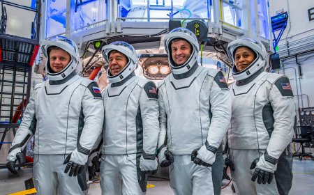 NASA Sets Coverage for Agency’s SpaceX Crew-8 Launch, Docking