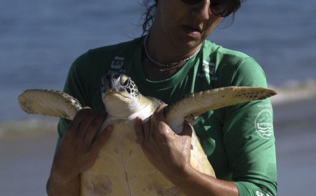 Migratory species at risk worldwide, landmark U.N. report says