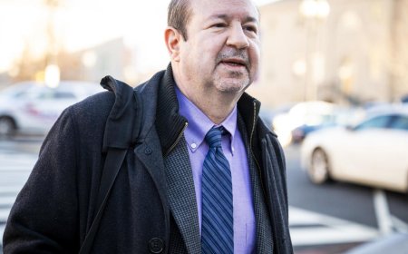 Renowned climate scientist Michael Mann wins $1 million in defamation suit