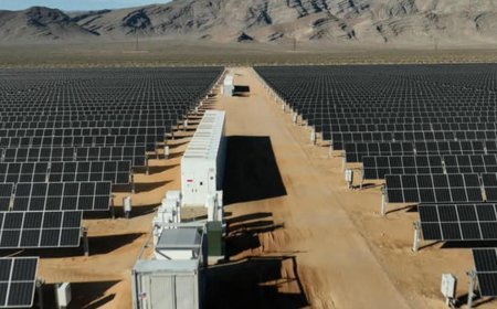 Super Bowl 2024 to be powered by Nevada desert solar farm