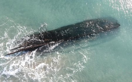 Race to salvage mysterious shipwreck that washed ashore in Canada