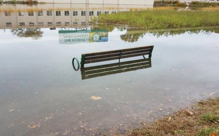 Maps, data show how climate change could affect some major U.S. ports