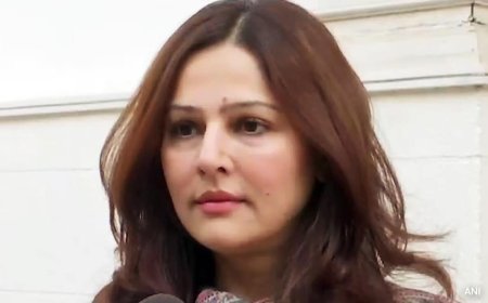 Ahmed Patel's Daughter Apologises As Bharuch Seat Slips Away From Congress