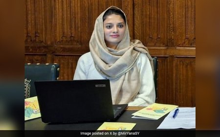 Yana Mir, Honoured By UK, Is A Journalist, YouTuber, TedX Speaker: 5 Facts